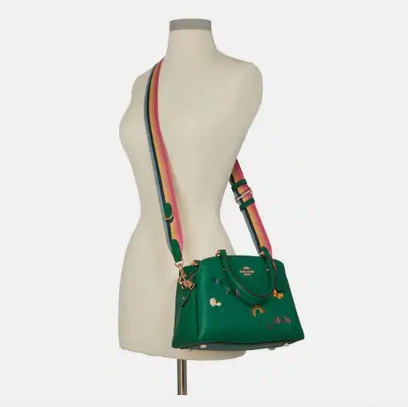 Coach mini Lillie carryall with Diary Embroidery Bag - Picture 5 of 14